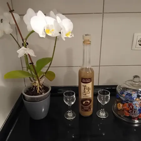 Stan Na Dan Miki M Apartment Teslic
